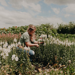 byron bay florist and flower farmer