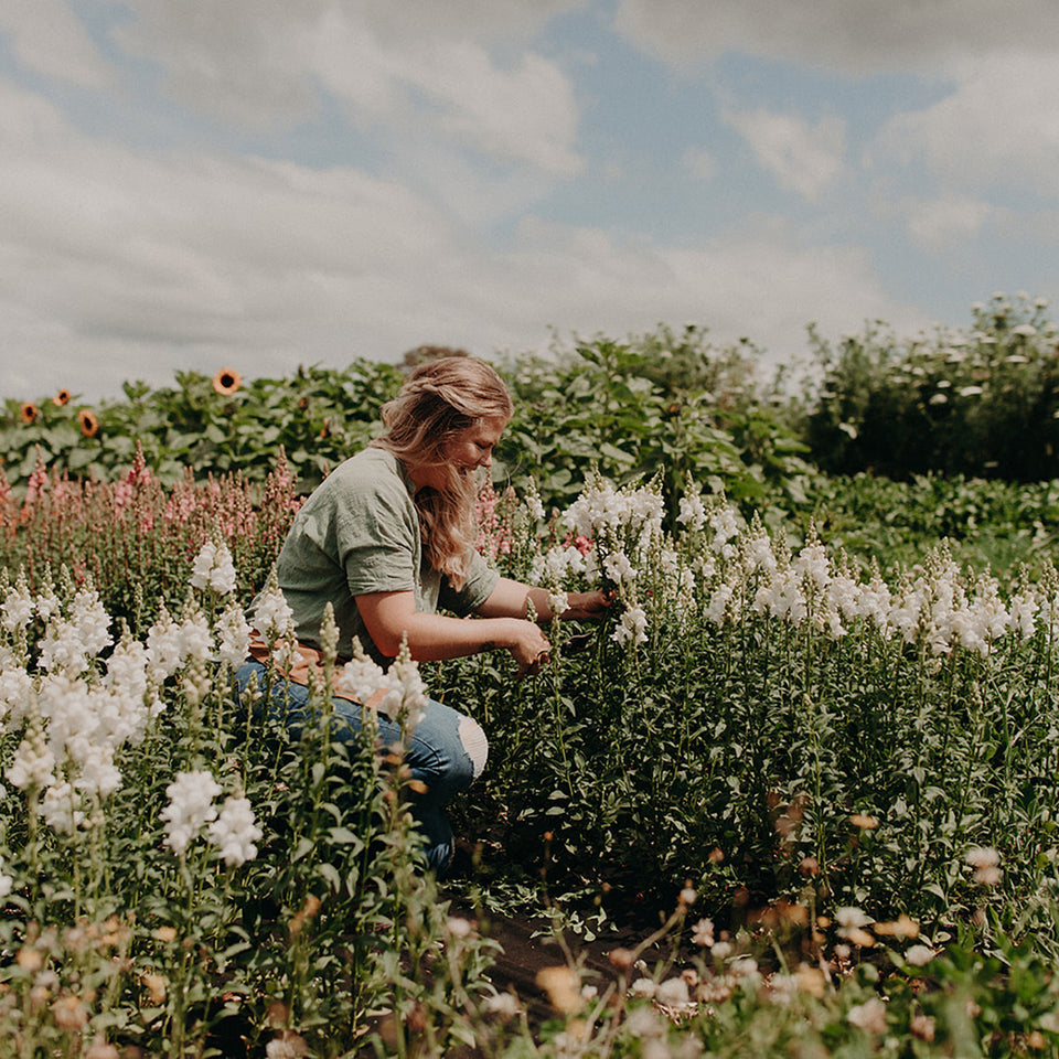 byron bay florist and flower farmer